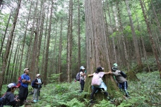 Exploring Otaki's forest