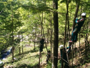 Forestry work at Kiyotaki Falls